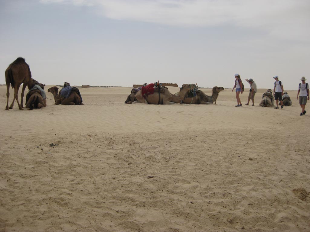 i/Family/Djerba/Safari - Djerba 2009 106.jpg